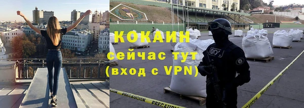 мяу мяу мука Аркадак