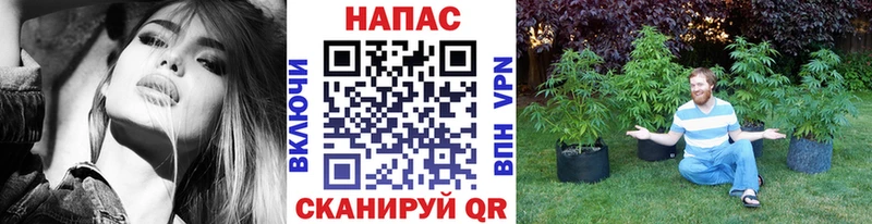 kraken ССЫЛКА  наркота  Сретенск  Бошки марихуана гибрид 